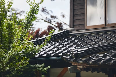 2025103001_newsletter_KV02